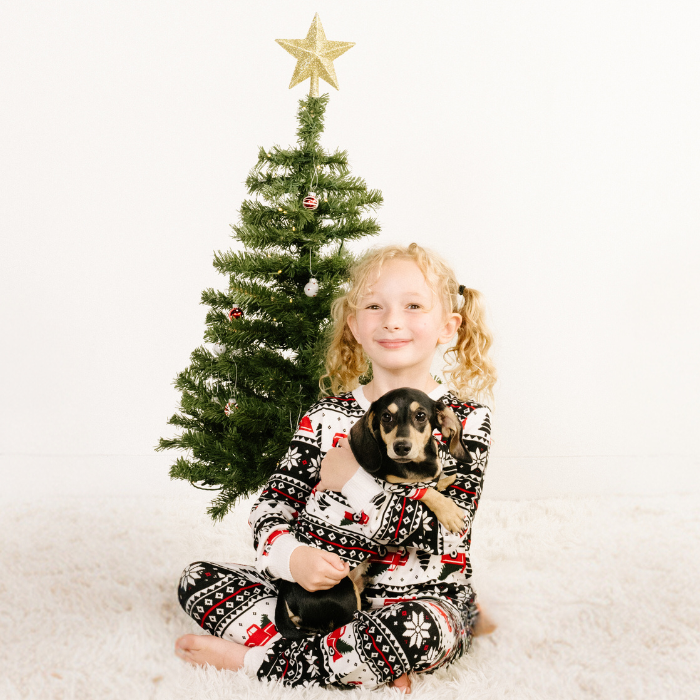 Pet T-Shirt -  Home for the Holidays