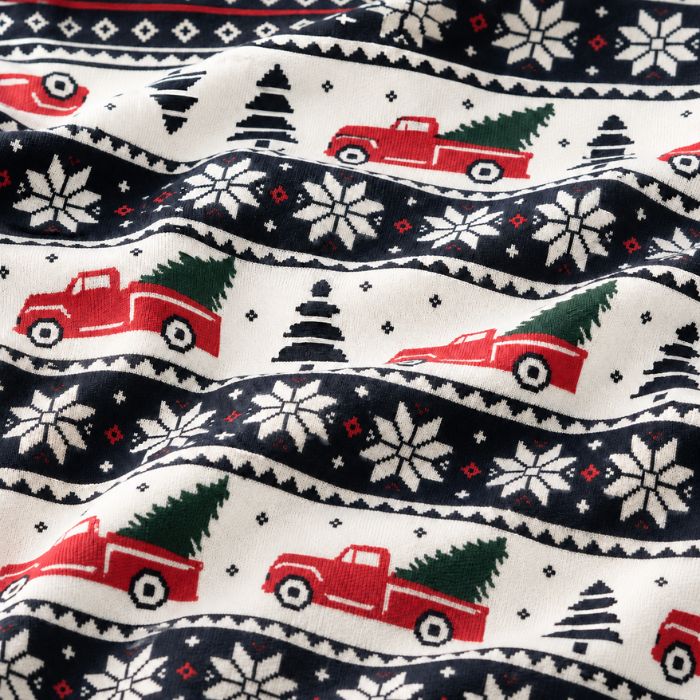 Pet T-Shirt - Home for the Holidays