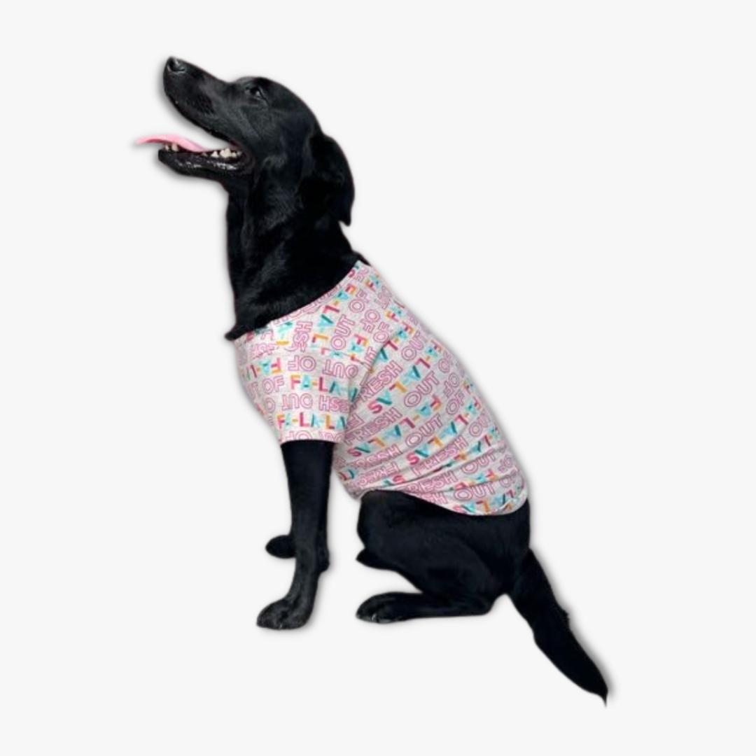 Dog wearing The Black Sheep Fam Oatmeal FALALA Pet Tee