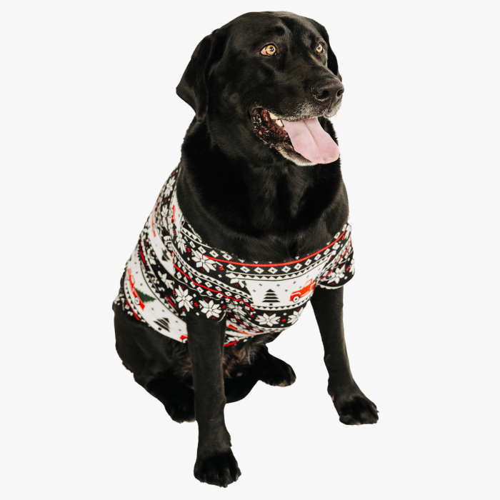 Pet T-Shirt - Home for the Holidays