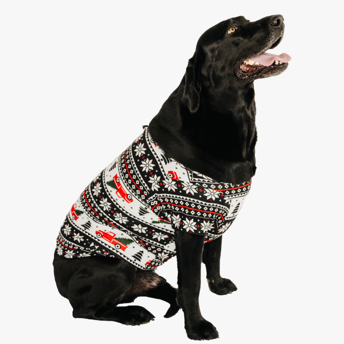 Pet T-Shirt -  Home for the Holidays