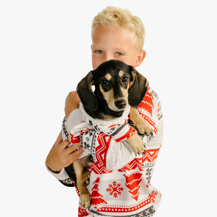 Pet T-Shirt - Nordic Fair Isle