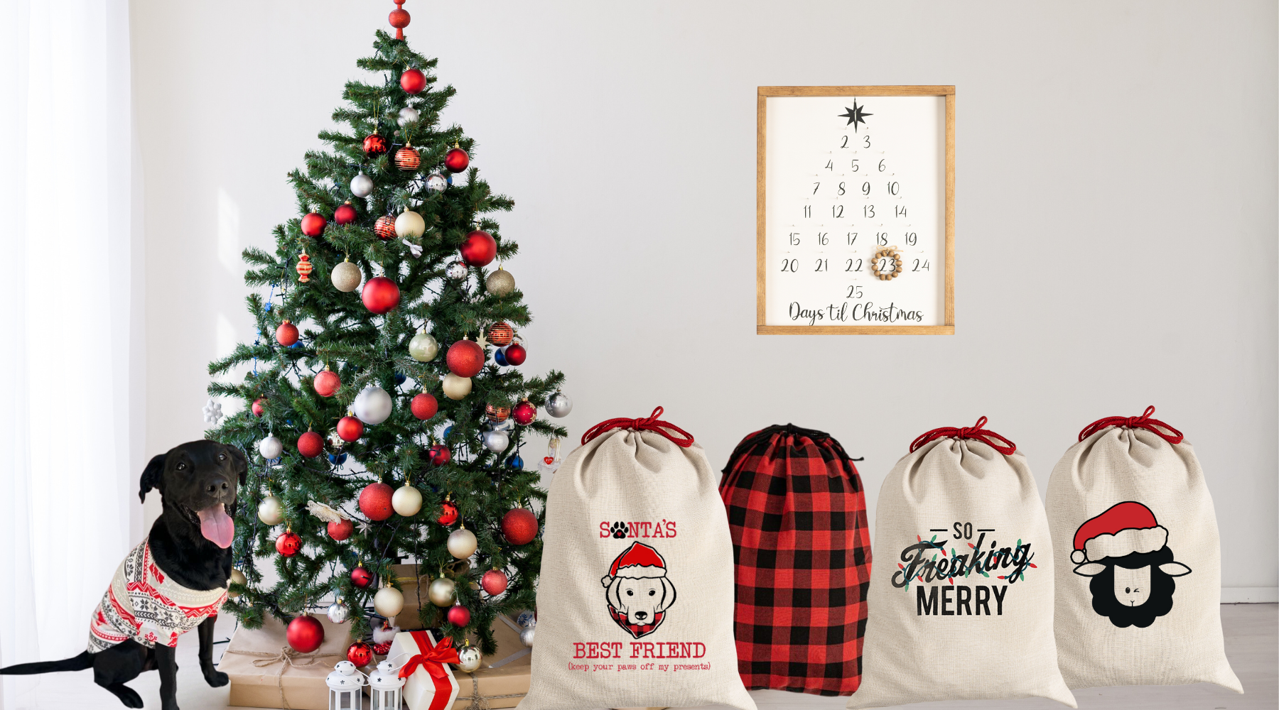 living room with dog wearing pet t shirt nordic fair isle and showing other black sheep fam accessories
