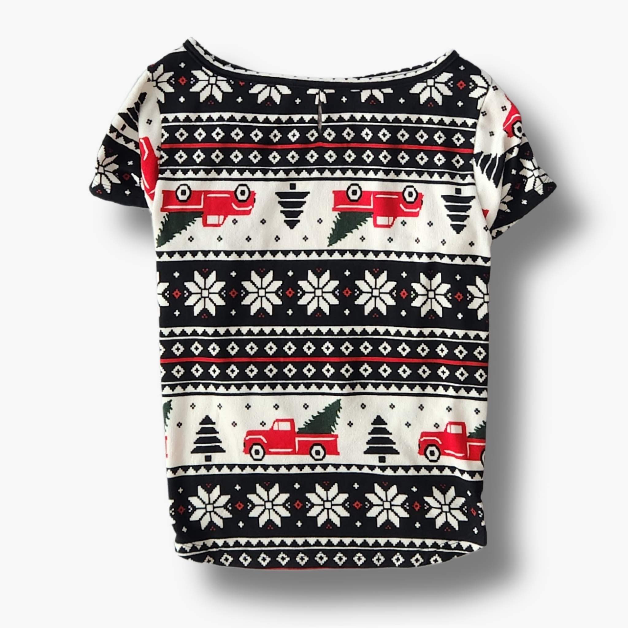 Pet T-Shirt -  Home for the Holidays