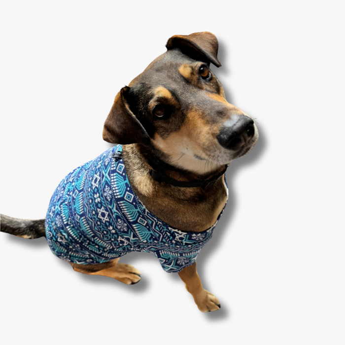 Pet T-Shirt - Hanukkah Festival of Lights Fair Isle