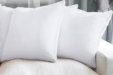 Throw Pillow Insert - Single